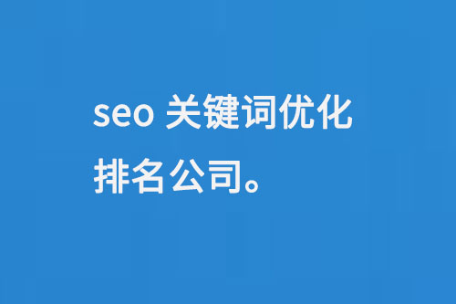 seo關(guān)鍵詞優(yōu)化排名公司