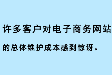 許多客戶對(duì)電子商務(wù)網(wǎng)站的總體維護(hù)成本感到驚訝