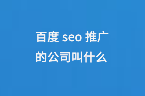 百度seo推廣的公司叫什么